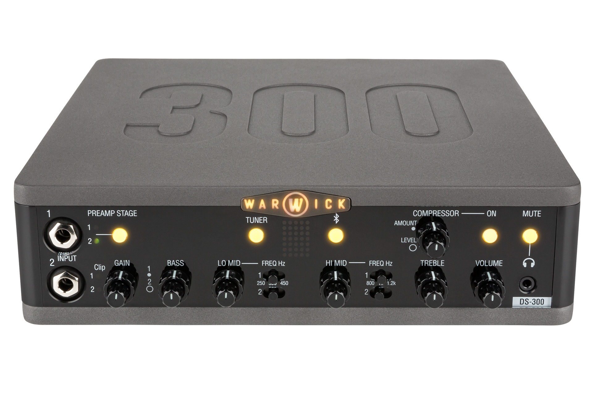 Stage Series DS 300 Double Stage Bass Amp Head mit USB-Interface